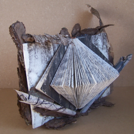 Livres d'artistes...